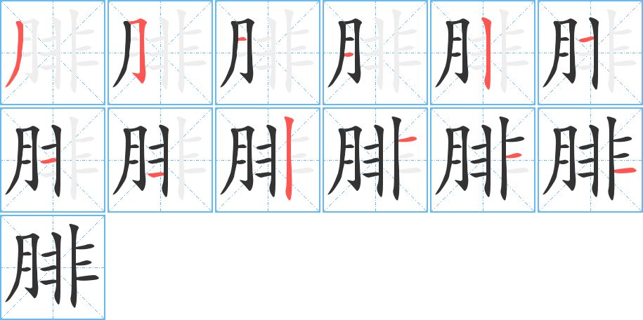 腓的筆順筆畫(huà)