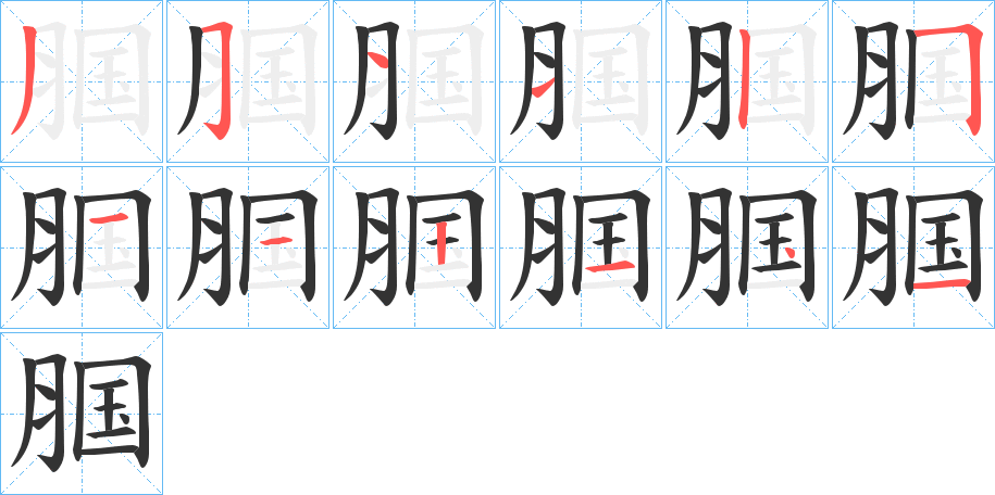 腘的筆順筆畫