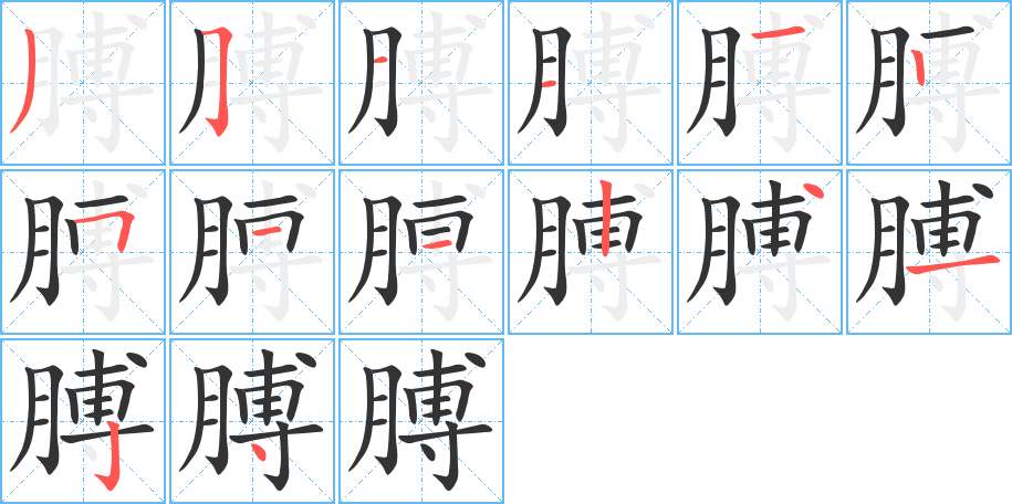 膊的筆順筆畫